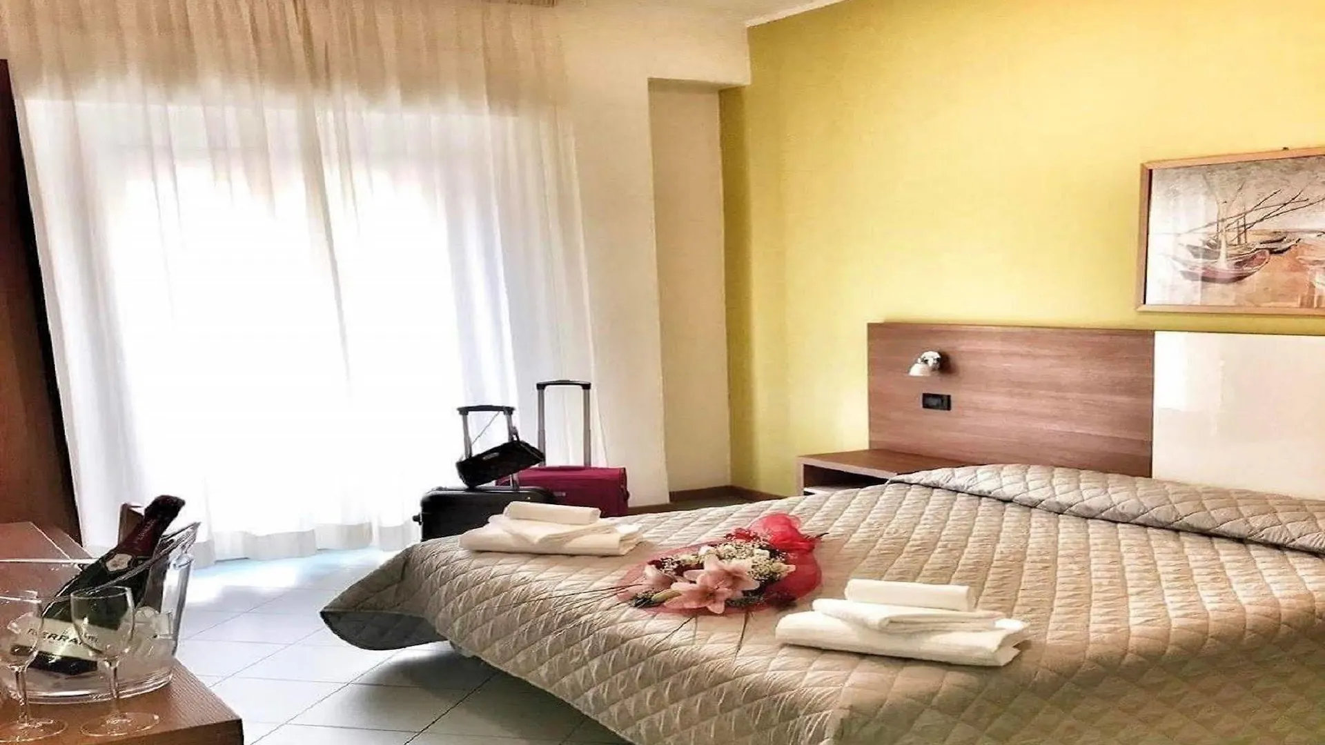 Hotel St Pierre Rímini